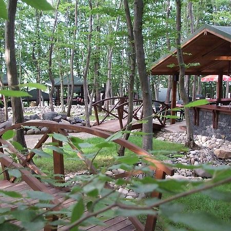 فاتسا Dolunay Fanizan Hotel المظهر الخارجي الصورة