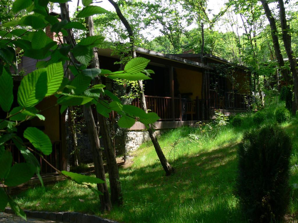 فاتسا Dolunay Fanizan Hotel الغرفة الصورة